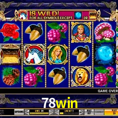 78win Rio de Janeiro - Bonus Terms